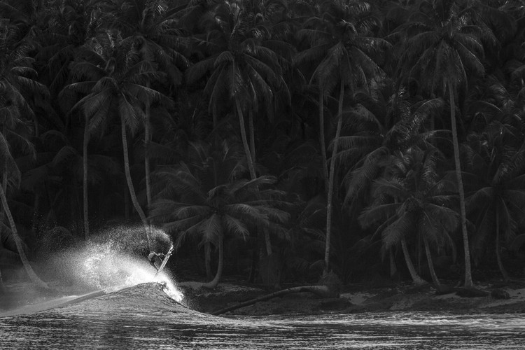 Ocean Photographer Awards 2024 Ocean Photographer Awards 2024