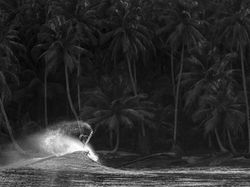 Indonesia Dalam Bidikan Kamera Finalis Ocean Photographer Awards 2024