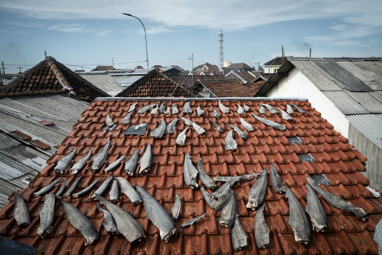 Ocean Photographer Awards 2024 Ocean Photographer Awards 2024