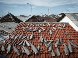 Indonesia Dalam Bidikan Kamera Finalis Ocean Photographer Awards 2024