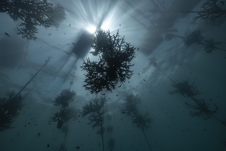 Ocean Photographer Awards 2024 Ocean Photographer Awards 2024
