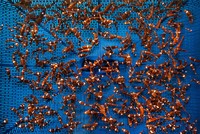 Ocean Photographer Awards 2024