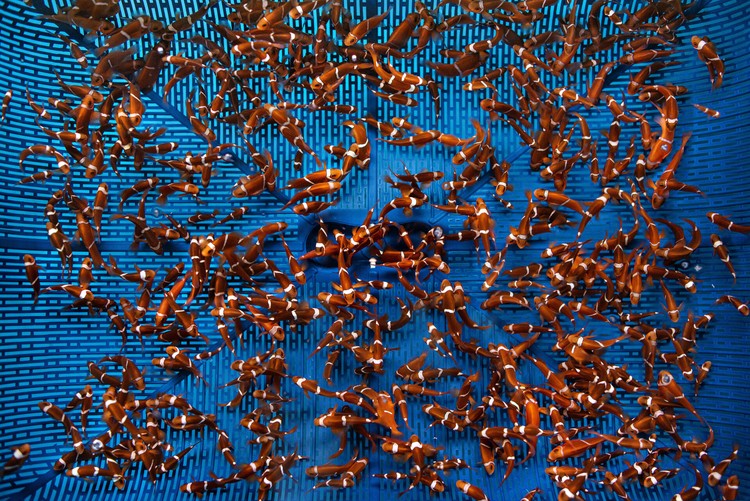 Ocean Photographer Awards 2024 Ocean Photographer Awards 2024