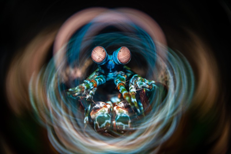 Ocean Photographer Awards 2024