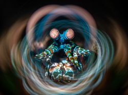 Indonesia Dalam Bidikan Kamera Finalis Ocean Photographer Awards 2024