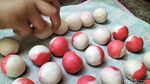 Onde-onde Merah Putih di Pasuruan Semarakan HUT ke-79 RI