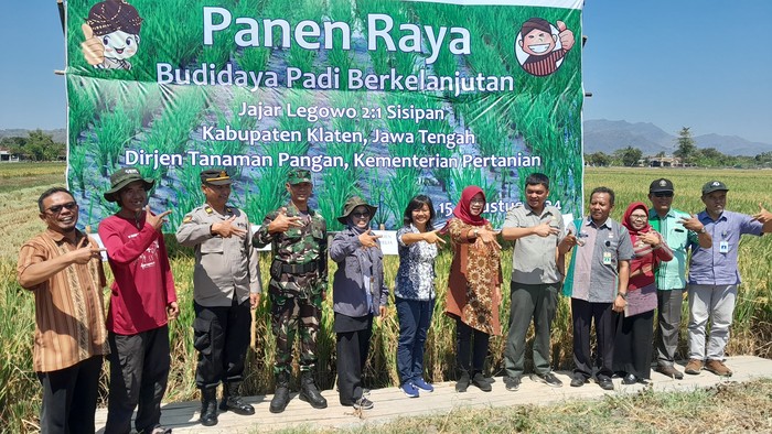 Panen Raya di Klaten