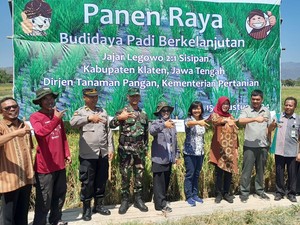 Pakai Sistem Tanam Si Jarwo, Hasil Panen Petani di Klaten Naik 15%