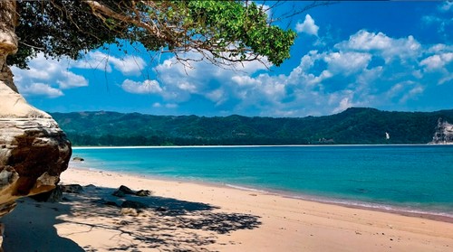 Pantai Tarimbang di Sumba Timur, NTT. (Tangkapan layar Google Earth/Alessandra Masutti/10/2023)