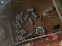 Bikin Geger! Ini 5 Fakta di Balik Temuan Tambak Lobster di Kamar Kos