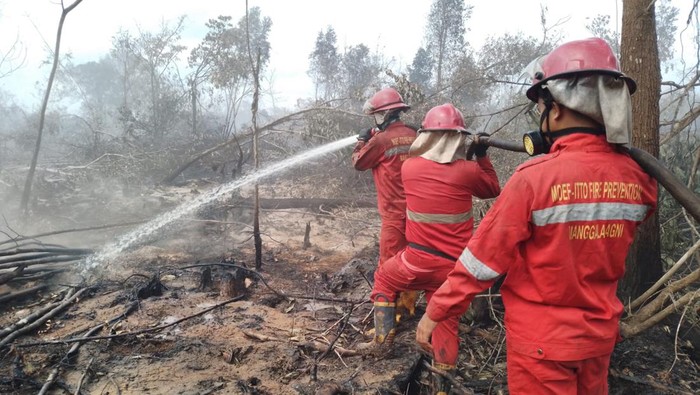 Tim Manggala Agni melakukan pemadaman karhutla di lahan gambut di Lempuing Jaya, Ogan Komering Ilir