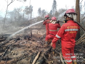 Karhutla Lempuing Capai 21,6 Hektare, Mop Up Diupayakan
