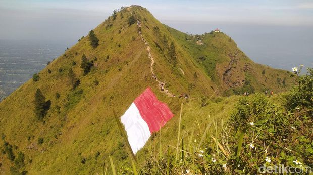 Bendera Merah Putih ukuran 79 x 45 meter berkibar di 'Jembatan Setan' Gunung Andong.