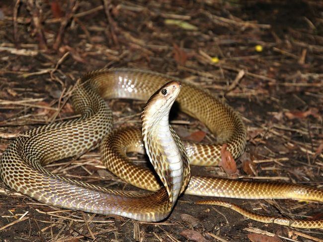 Shaxsiy intim suratlar yuborildi