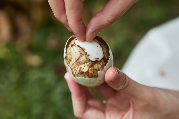 kuliner ekstrem khas filipina