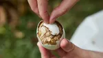 Hiii! Ini 8 Makanan Ekstrem Khas Filipina, Abuos hingga Balut