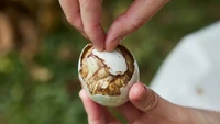 Makanan paling ekstrem di Filipina adalah balut. Berupa embrio atau janin bebek yang direbus dan dimakan langsung dari cangkangnya. Biasanya telur ini diolah setelah didiamkan selama 14-21 hari. Foto: Travelling Foodie (Site news)
