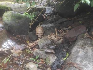 Geger Tengkorak Manusia Ditemukan di Pinggir Sungai Agam, Polisi Selidiki