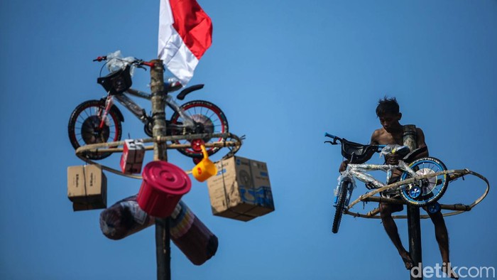 Peserta mengikuti lomba panjat pinang di Ancol, Jakarta, Sabtu (18/8/2024).