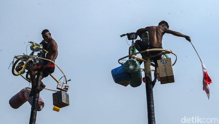 Peserta mengikuti lomba panjat pinang di Ancol, Jakarta, Sabtu (18/8/2024).