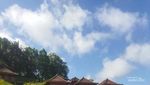 Lautan Lepas Sejauh Mata Memandang di Pitris Ocean View