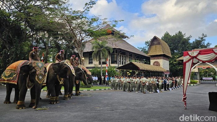 Upacara bendera memperingati Hari Ulang Tahun (HUT) ke-79 Republik Indonesia di Bali Safari Park, Sabtu (17/8/2024). (Foto: Putu Krista/detikBali)