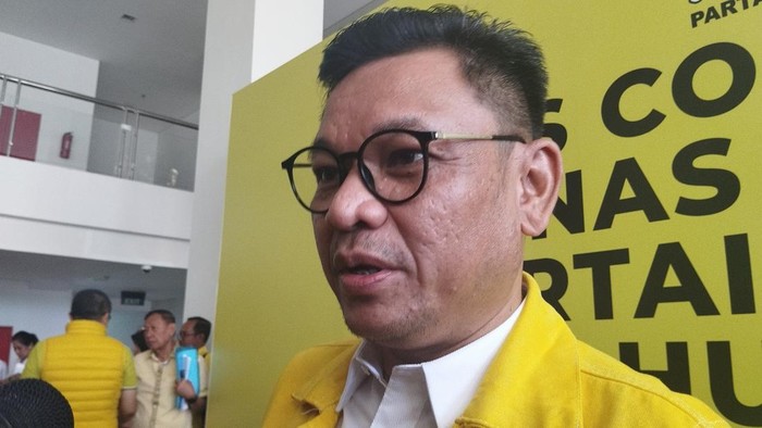 Ace Hasan Syadzily (Maulana/detikcom)