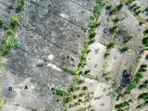 Ditemukan Kubur Batu di Gunungkidul yang Diduga Peninggalan Megalitikum
