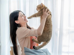 Mengapa Ada Orang yang Secara Alamiah Menarik Perhatian Kucing?