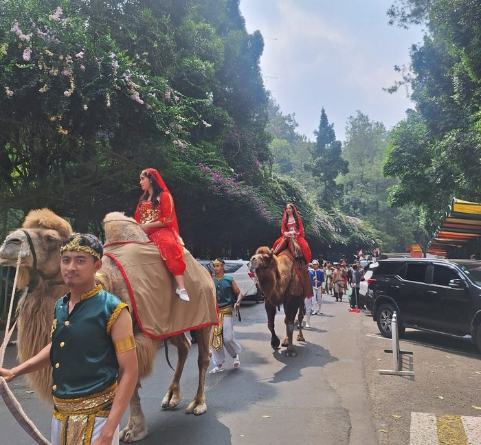 Parade Satwa dan Budaya memeriahkan HUT Kemerdekaan RI Ke-79 di Taman Safari Bogor