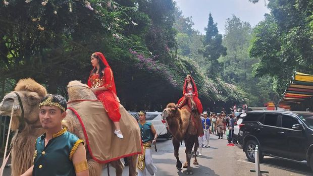 Parade Satwa dan Budaya memeriahkan HUT Kemerdekaan RI Ke-79 di Taman Safari Bogor