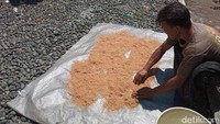 Proses pembuatan ukup itu dilakukan oleh seorang abdi dalem dari Keraton Kacirebonan. Dalam proses pembuatan ukup tersebut, tebu yang dijadikan sebagai salah satu bahan awalnya dicacah dan ditumbuk. (Foto: Ony Syahroni/detikJabar)