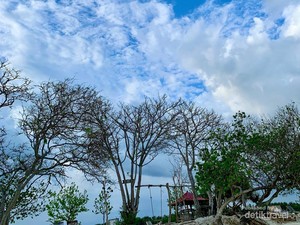 Menyelami Keindahan Alam Nusantara