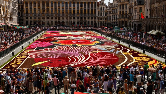 Karpet Bunga Raksasa Hiasi Alun-alun Bersejarah Brussels A 1,680-square-meter ''Art Nouveau'' theme flower carpet, made by a team of about 100 gardeners using hundreds of thousands of dahlias and begonias, is seen at Brussels' Grand Place, Belgium August 15, 2024. REUTERS/Yves Herman TPX IMAGES OF THE DAY