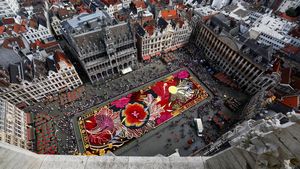 Karpet Bunga Raksasa Hiasi Alun-alun Bersejarah Brussels