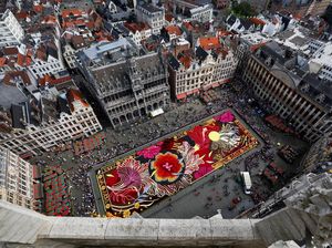 Karpet Bunga Raksasa Hiasi Alun-alun Bersejarah Brussels