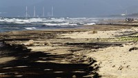 Tumpahan minyak yang diduga berasal dari kilang El Palito Venezuela telah mencemari wilayah perairan teluk di lepas pantai utara-tengah Laut Karibia.  