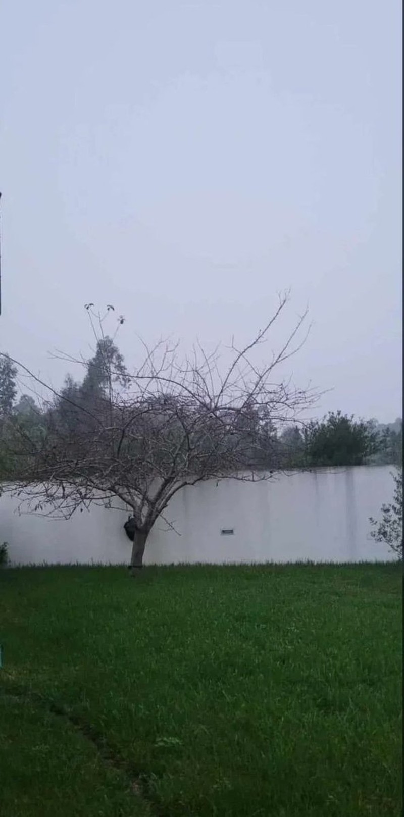 kumpulan gambar ilusi mengecoh mata