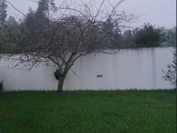 Kumpulan Gambar Ilusi Optik Ini Bikin Mata dan Berpikir Keras