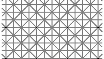 Ada 12 titik hitam di persimpangan dalam gambar ini. Namun otak kamu tidak akan membiarkan untuk kamu melihat semuanya sekaligus. (Foto: X/@tradingMaxiSL)