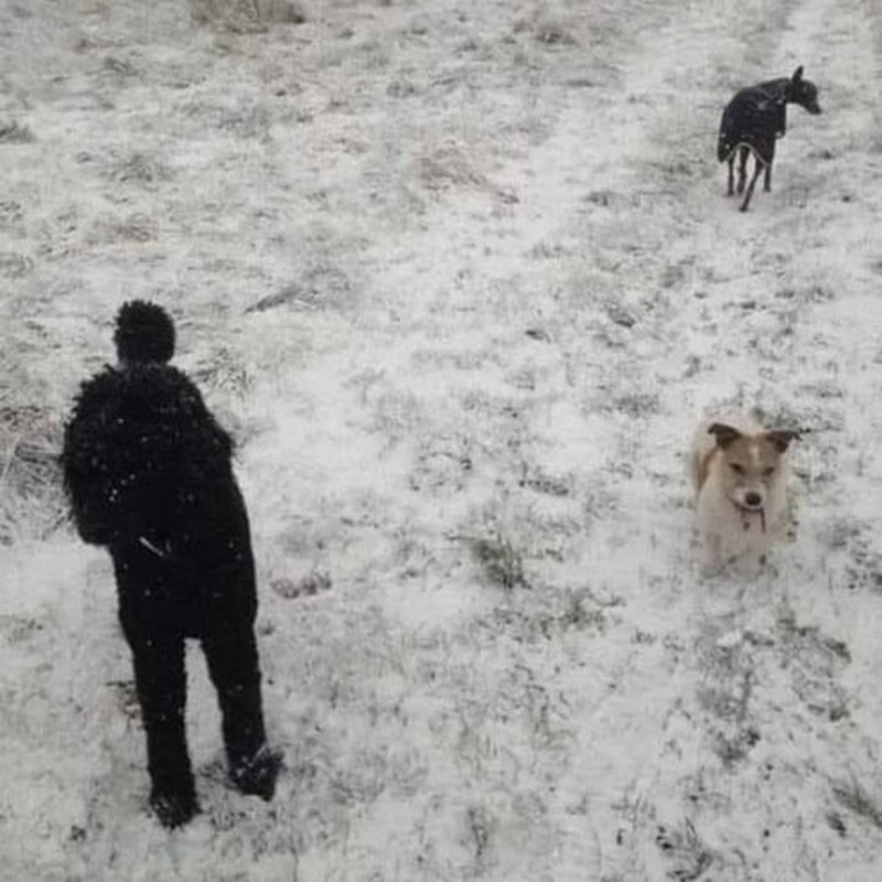 kumpulan gambar ilusi mengecoh mata