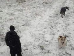 Kumpulan Gambar Ilusi Optik Ini Bikin Mata dan Berpikir Keras