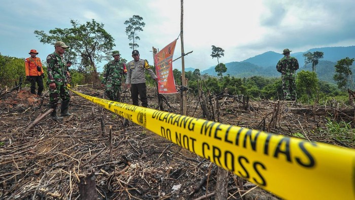 Lahan di Taman Nasional Bukit Tigapuluh Jambi Jadi Ladang Sawit Ilegal Tim patroli dari TNI/Polri, BPBD, dan PT Alam Bukit Tigapuluh meninjau lokasi bekas pembakaran lahan di dalam kawasan penyangga Taman Nasional Bukit Tigapuluh (TNBT), Tebo, Jambi, Minggu (18/8/2024). Data PT Alam Bukit Tigapuluh menyebutkan, sedikitnya 9.000 hektare lahan di kawasan penyangga Taman Nasional Bukit Tigapuluh setempat telah beralih fungsi menjadi perladangan kelapa sawit ilegal sejak lima tahun terakhir. ANTARA FOTO/Wahdi Septiawan.