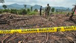 Lahan di Taman Nasional Bukit Tigapuluh Jambi Jadi Ladang Sawit Ilegal