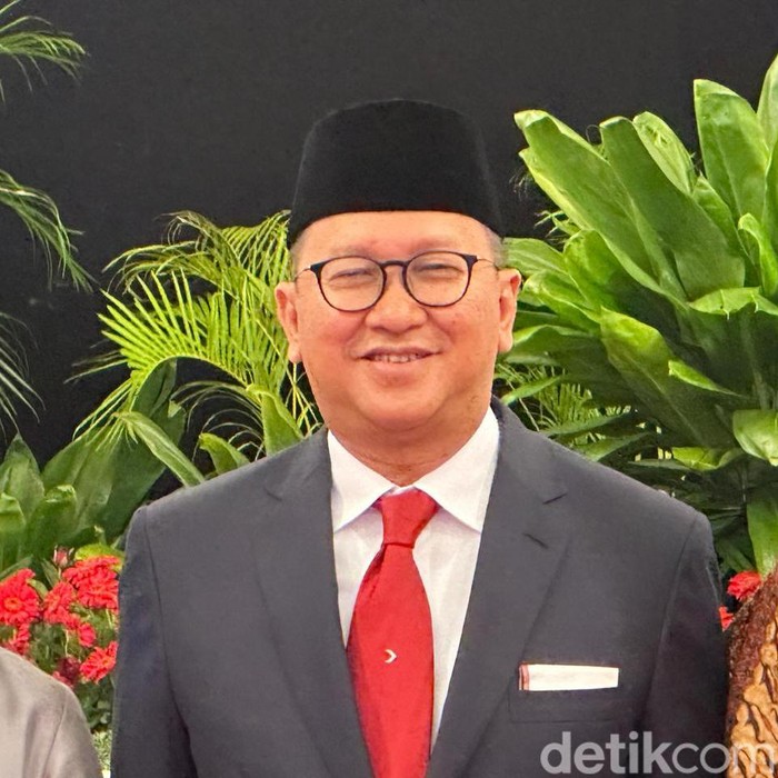 Menteri Investasi/BKPM Rosan Roeslani (Isal/detikcom)