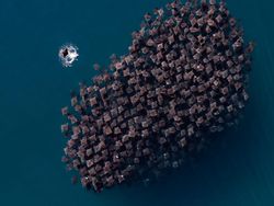 Karya Mencengangkan Finalis Ocean Photographer of The Year 2024