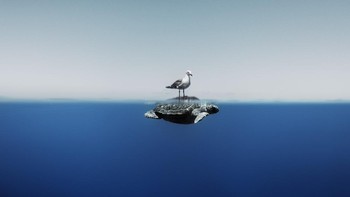 Finalist Fine Art Photographer of the Year karya Enric Gener, lokasi Spain. Foto: Ocean Photographer of The Year