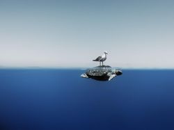 Karya Mencengangkan Finalis Ocean Photographer of The Year 2024