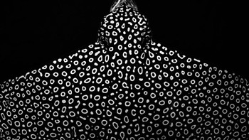 Finalist Fine Art Photographer of the Year karya Mizael Palameque Gonzalez, lokasi Meksiko. Foto: Ocean Photographer of The Year