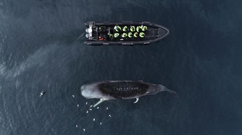 Finalist Fine Art Photographer of the Year karya Sean O’callaghan, lokasi Norwegia. Foto: Ocean Photographer of The Year